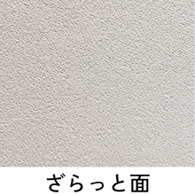 画像をギャラリービューアに読み込む, 表紙B6-レザー
