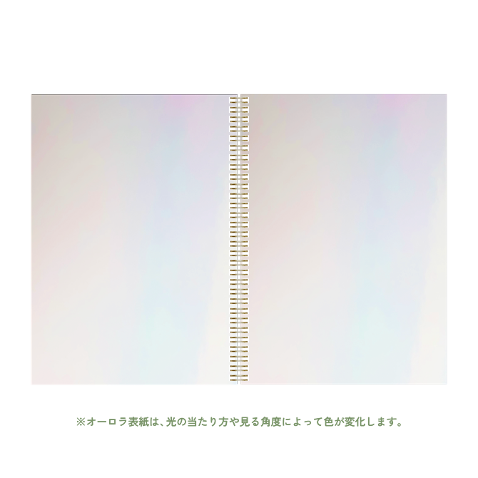 B5 type-1 - Customer's Product with price 2300.00 ID DcRlYnhRjc2AKZuaFPSRuEnG