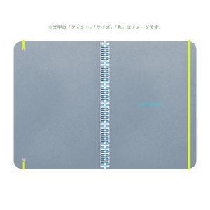 B5 type-1 - Customer's Product with price 2900.00 ID yrGhrqPApeZTdPijnQW6cwpB