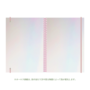 B5 type-1 - Customer's Product with price 2860.00 ID eTfWmFfHavcaYnUSLJXkTwFr