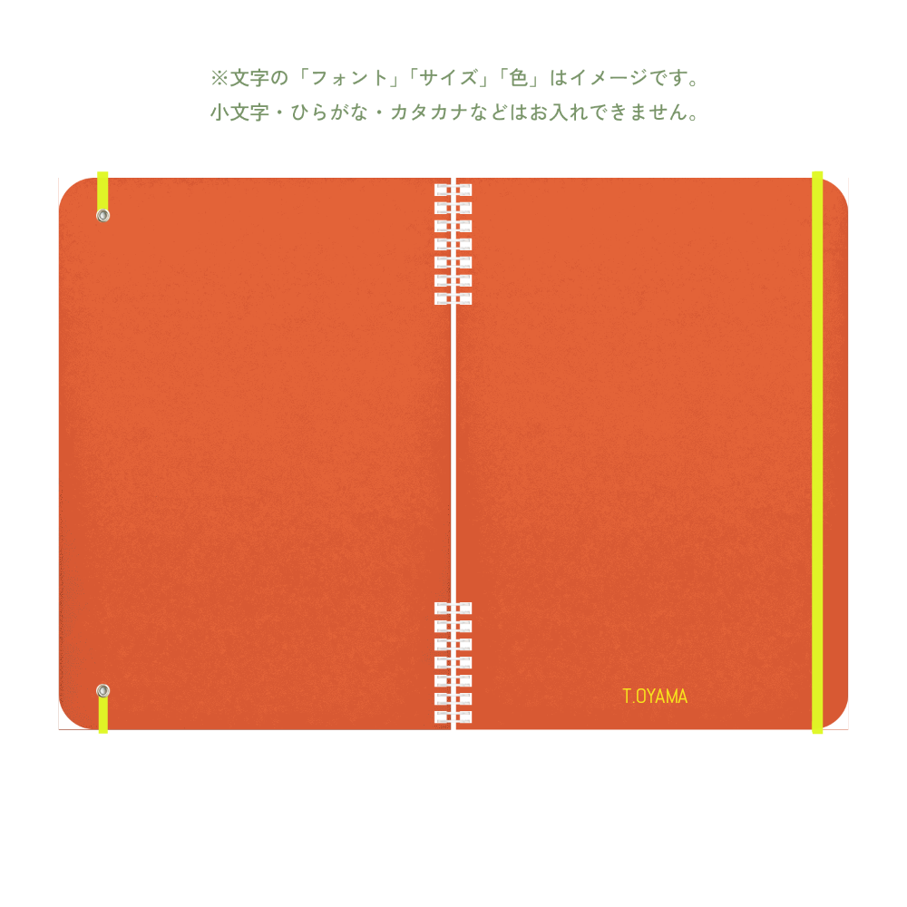 B5 type-1 - Customer's Product with price 2970.00 ID iVajK0C4VoRq13moymsgLT7j