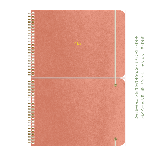 B5 type-2 - Customer's Product with price 3465.00 ID VM5U7voIsgiP28Y_C6XH7ao-