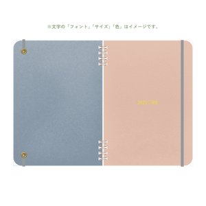 B6 type-1 - Customer's Product with price 2950.00 ID z3NEperKGB-1l88AjVYiLibu