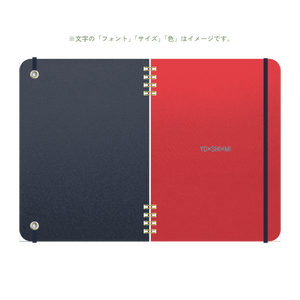 B6 type-1 - Customer's Product with price 2600.00 ID cRr1uDT6sOzmLgV3b_pxwK5I
