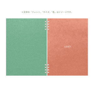 B6 type-1 - Customer's Product with price 2400.00 ID PcaIzvA0ni4fs6i1pqjQ1fBE