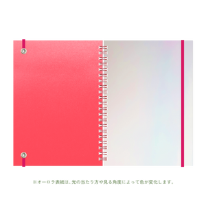 B6 type-1 - Customer's Product with price 2100.00 ID OlDdJLjGOFfxnhk6hQfxsByu