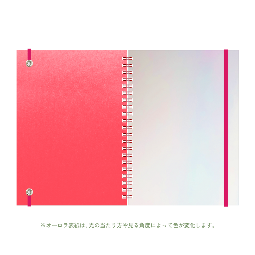 B6 type-1 - Customer's Product with price 2100.00 ID OlDdJLjGOFfxnhk6hQfxsByu