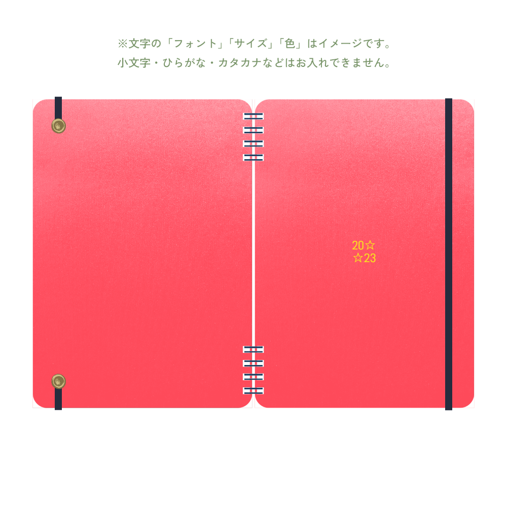 B6 type-1 - Customer's Product with price 4290.00 ID gQiYsm9uxLI-mTznt8FXVm1e