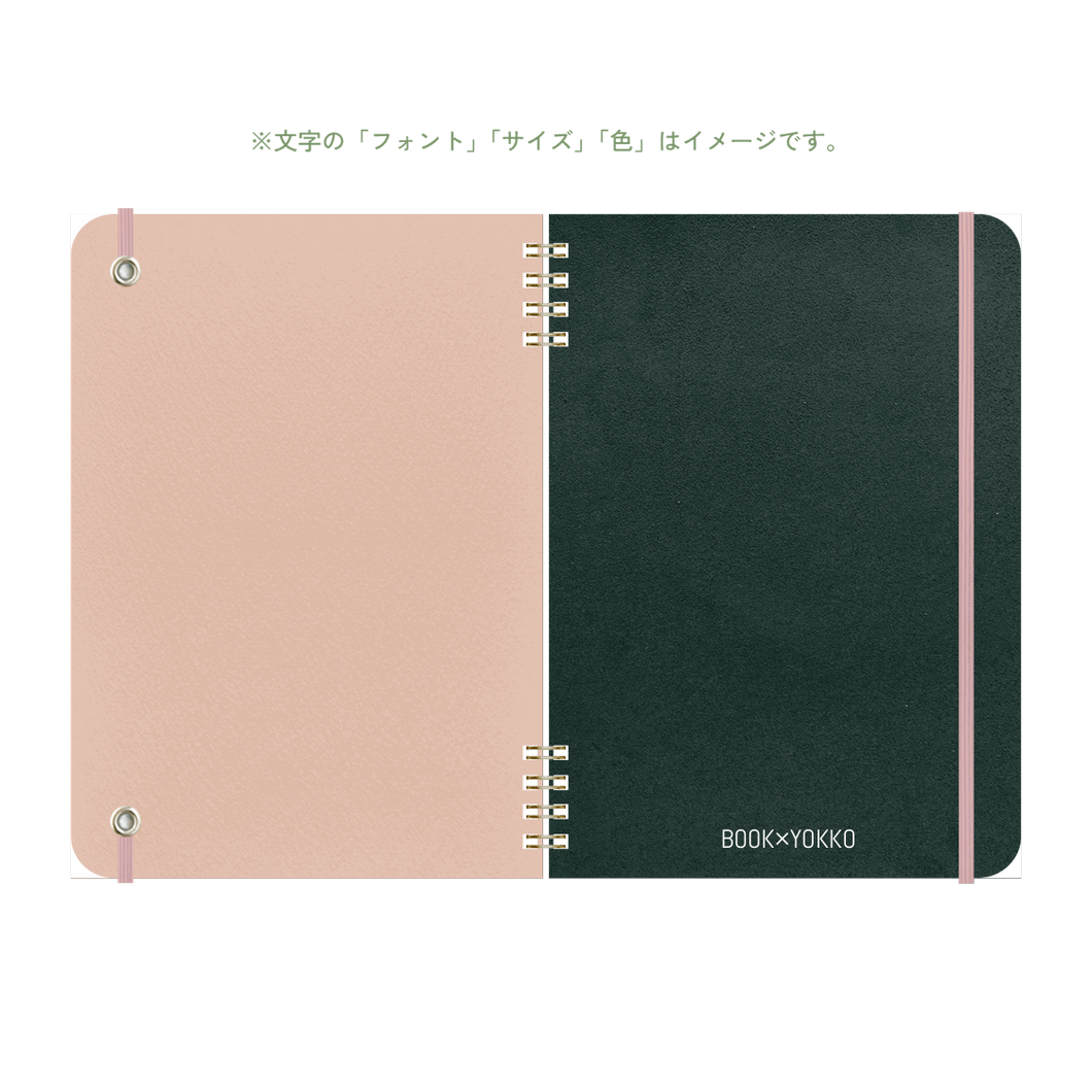 B6 type-1 - Customer's Product with price 3650.00 ID XZK3-1WPsH-RlDiJLEX-zczm