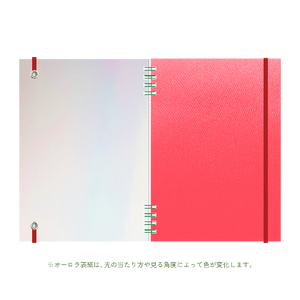 B6 type-1 - Customer's Product with price 2600.00 ID velomwsf1PfpEMSm7NEuK-g-