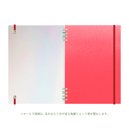 B6 type-1 - Customer's Product with price 2600.00 ID velomwsf1PfpEMSm7NEuK-g-