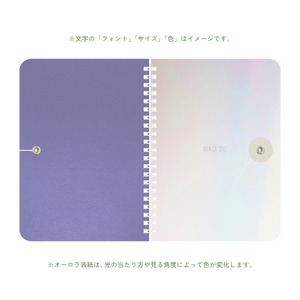 B6 type-1 - Customer's Product with price 4200.00 ID ikquYiQvQfunRJc8fqpPv_jA