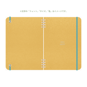 B6 type-1 - Customer's Product with price 3100.00 ID a1Aqm-CgP2FuE3zPG4JXwtjB