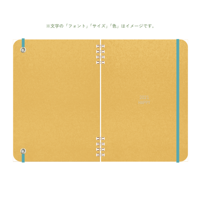 B6 type-1 - Customer's Product with price 3100.00 ID a1Aqm-CgP2FuE3zPG4JXwtjB