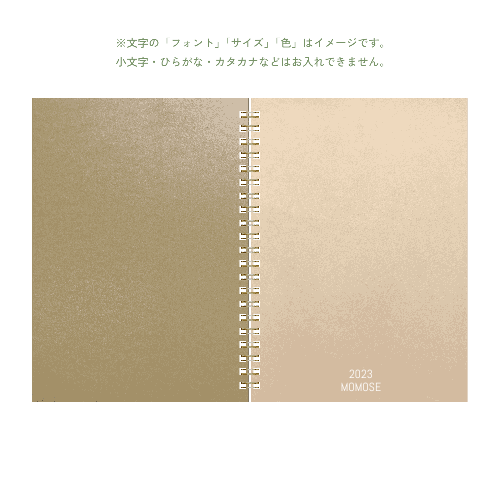 B6 type-1 - Customer's Product with price 5005.00 ID lOIqwmOq6tNm4t-mMXQ5pbVj