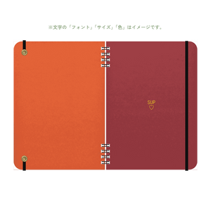 B6 type-1 - Customer's Product with price 3795.00 ID eAFMVe5sbUUG-1ZOg7PKX7G6