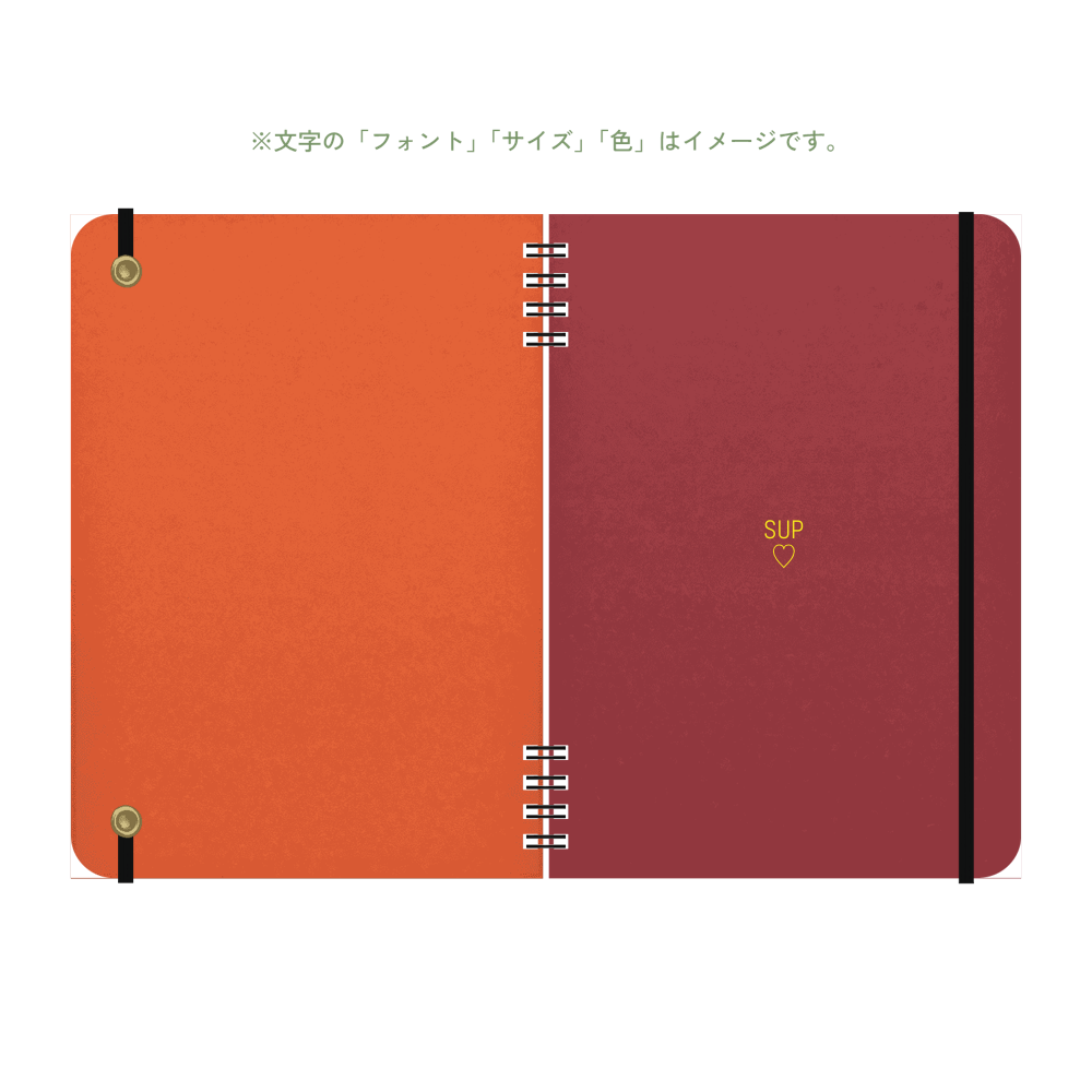B6 type-1 - Customer's Product with price 3795.00 ID eAFMVe5sbUUG-1ZOg7PKX7G6