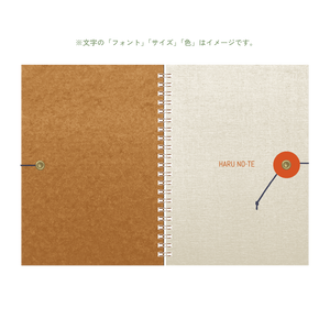 B6 type-1 - Customer's Product with price 3080.00 ID jSf3Quwq4XkqJQ3zGOM_ZKHt