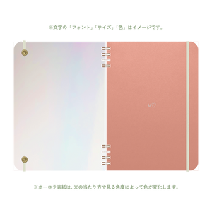 B6 type-1 - Customer's Product with price 3900.00 ID p-Z5nB2RMyuJ2iQkzaxopAOs