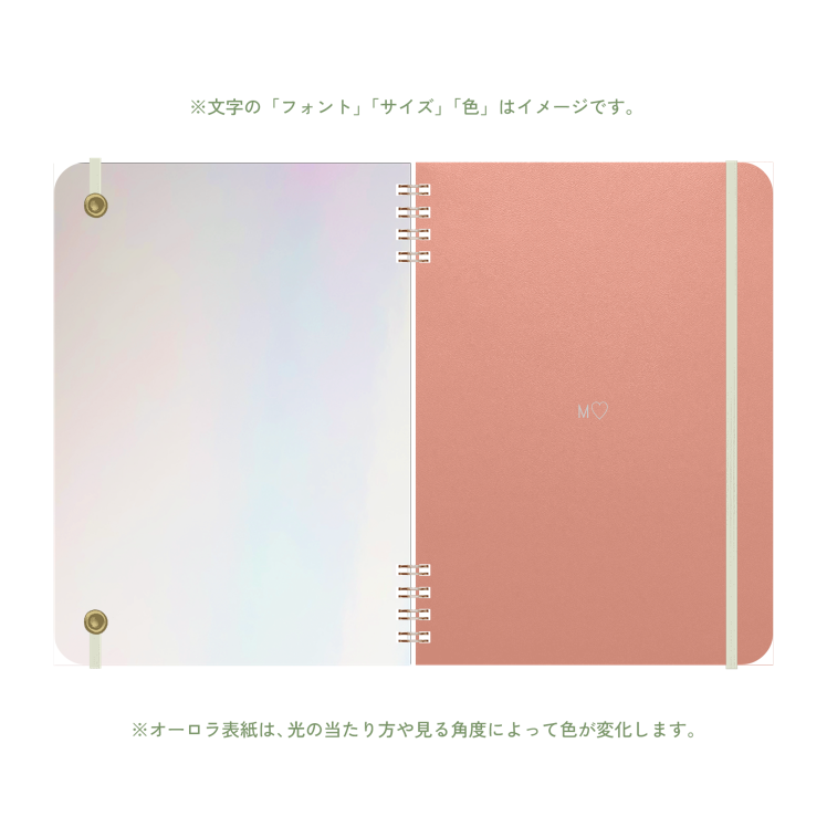 B6 type-1 - Customer's Product with price 3900.00 ID p-Z5nB2RMyuJ2iQkzaxopAOs