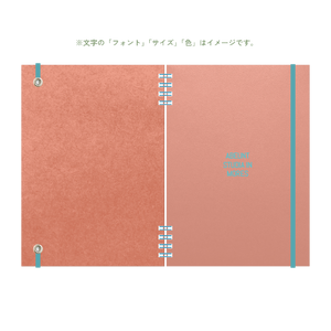 B6 type-1 - Customer's Product with price 4350.00 ID UPJkOU_bu0FpJThiMHLZRkxn