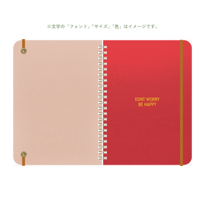 B6 type-1 - Customer's Product with price 3000.00 ID tXsb-saQMeTW8PECwhRE6lyo