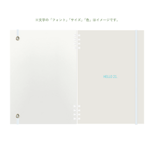 B6 type-1 - Customer's Product with price 4250.00 ID aJVtERA6ZUZHfkvUD0zwUuOP