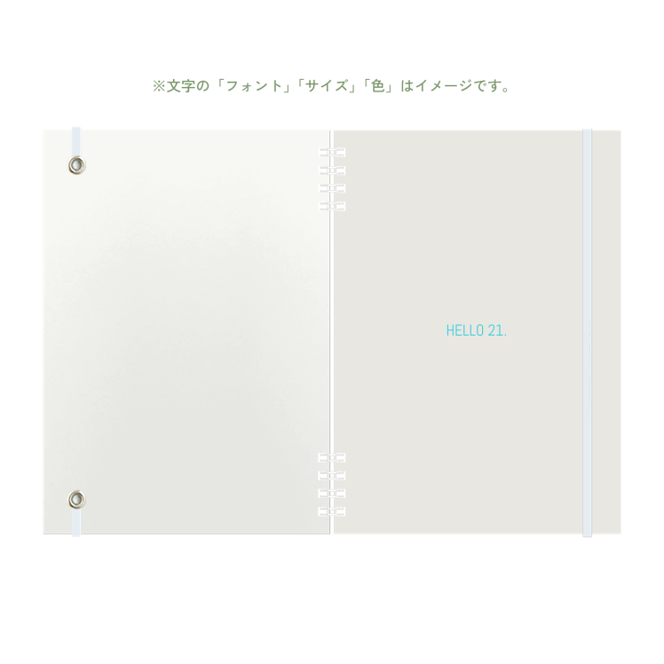 B6 type-1 - Customer's Product with price 4250.00 ID aJVtERA6ZUZHfkvUD0zwUuOP
