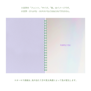 B6 type-1 - Customer's Product with price 3520.00 ID _5XqVQ3EBZaDHqsq16bvsRpH