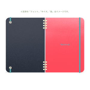 B6 type-1 - Customer's Product with price 2850.00 ID nX67yHNlr5NhzIV1zZ12IDkN