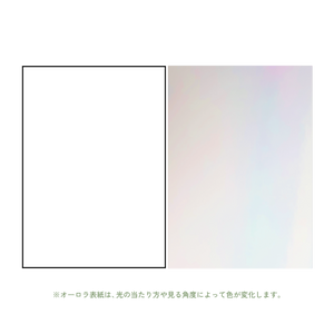B6 type-1 - Customer's Product with price 2035.00 ID TqnDtRCt-328GLv0fcn1fGBh