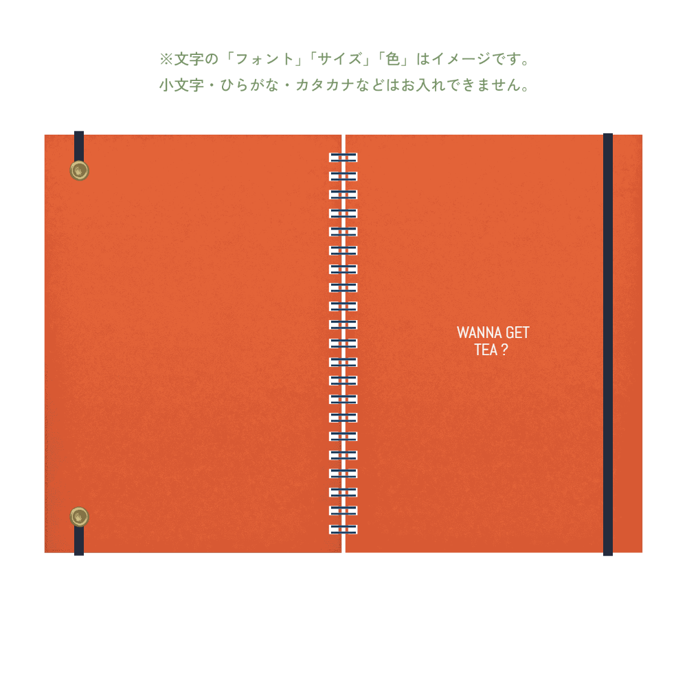 B6 type-1 - Customer's Product with price 2926.00 ID hdaR88kyu7nApanb4m67jLjw