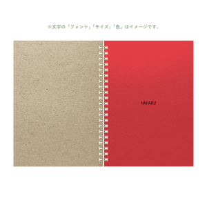 B6 type-1 - Customer's Product with price 2600.00 ID JwLs4hA2uCql4IZiL08_i3wa