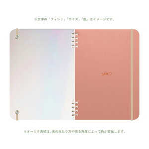 B6 type-1 - Customer's Product with price 4100.00 ID ySnAT1tPD9KKFK6gFUOYKbah