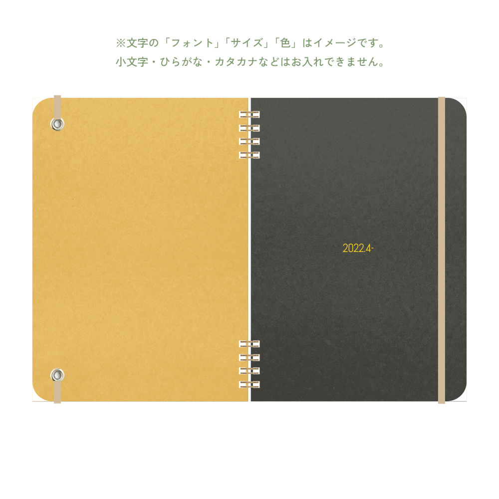 B6 type-1 - Customer's Product with price 3795.00 ID 0mmcDmHfYOVWxcGnvDlXU8wu