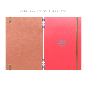 B6 type-1 - Customer's Product with price 3900.00 ID HgTBOxa04A1__CJE8a6i0HNp