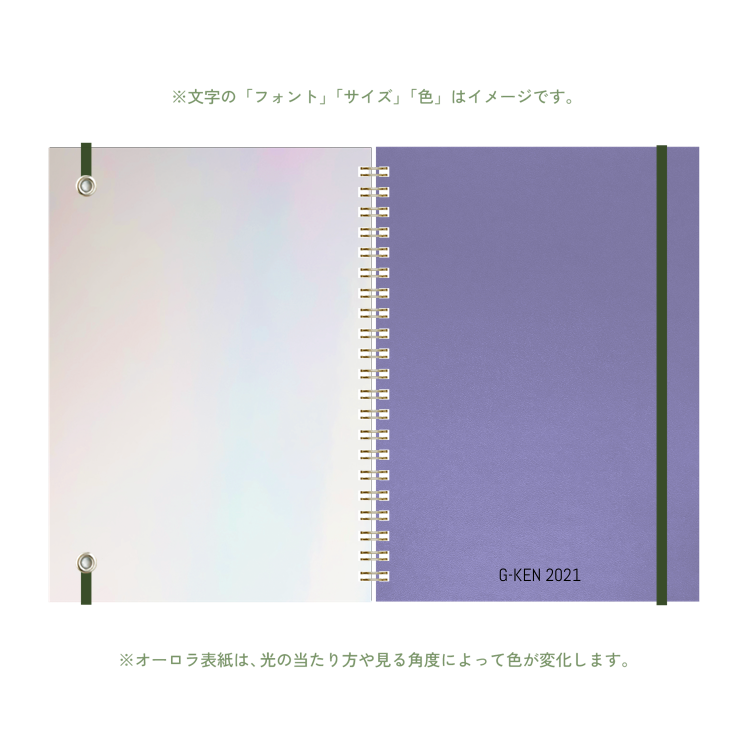 B6 type-1 - Customer's Product with price 3950.00 ID G3IoSNeco86HpABvJarGwpGa