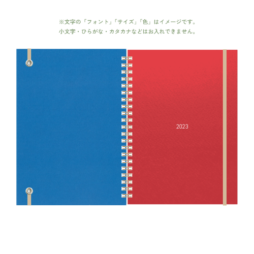 B6 type-1 - Customer's Product with price 3883.00 ID O9YHGdVWLK1IszLVwwdvR6wE