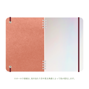 B6 type-1 - Customer's Product with price 3905.00 ID AvnfO-WXRCS_C4ylGQxS3jCD