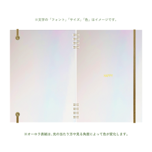 B6 type-1 - Customer's Product with price 2600.00 ID xU4prt8Ex9o_yVKUCfSmUFIl