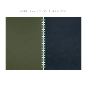 B6 type-1 - Customer's Product with price 5060.00 ID 9Iehld6VQZCV7wyL4QcRPSwQ