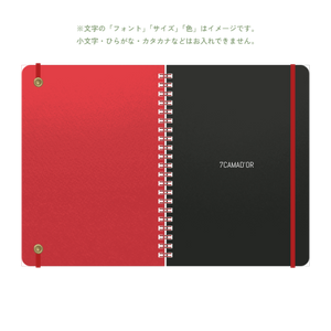 B6 type-1 - Customer's Product with price 3036.00 ID pIS1vVhcLgKryQwodx_rAQI6
