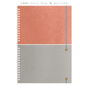 B6 type-2 - Customer's Product with price 2420.00 ID rhTSj4DzMt_i_hexpnvZLpO0