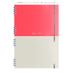 B6 type-2 - Customer's Product with price 2450.00 ID YLjGhGIZWX1yfRSeOIdLucdt