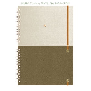 B6 type-2 - Customer's Product with price 3000.00 ID PvWffuH_iQ_DPQEA6iLrt3bB